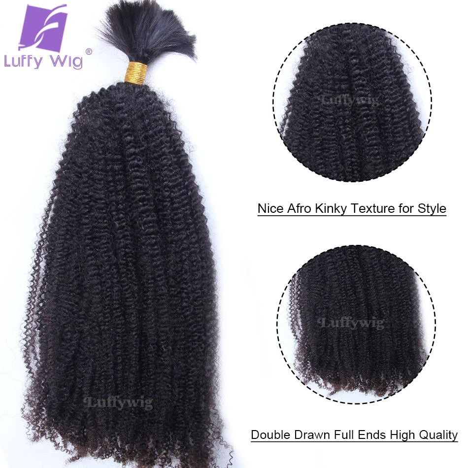 Afro Kinky Curly Bulk Human Hair for Braiding No Weft Human Hair Bundles Double Drawn Burmese Bulk Hair Human Hair Braiding